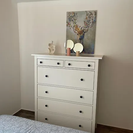 Penthouse Damjan דירה *