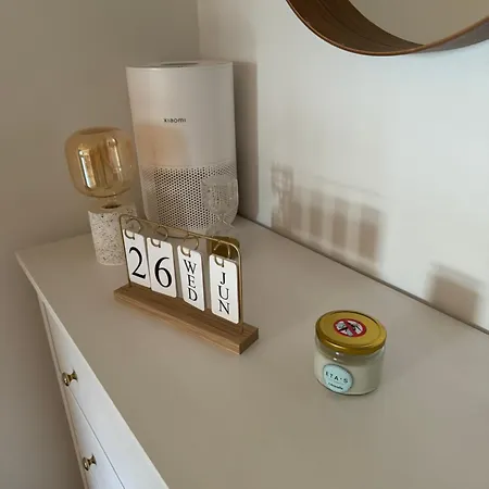 아파트 Penthouse Damjan