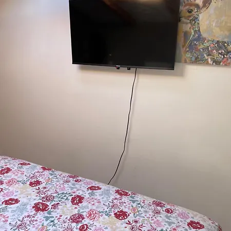 Apartman Penthouse Damjan Banjol